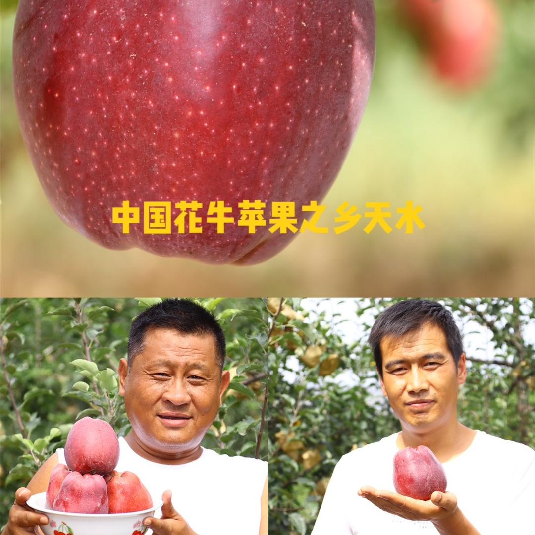 胖哥小明