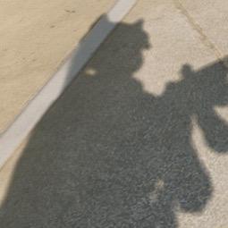 超A芝士葡萄（三角洲行动）