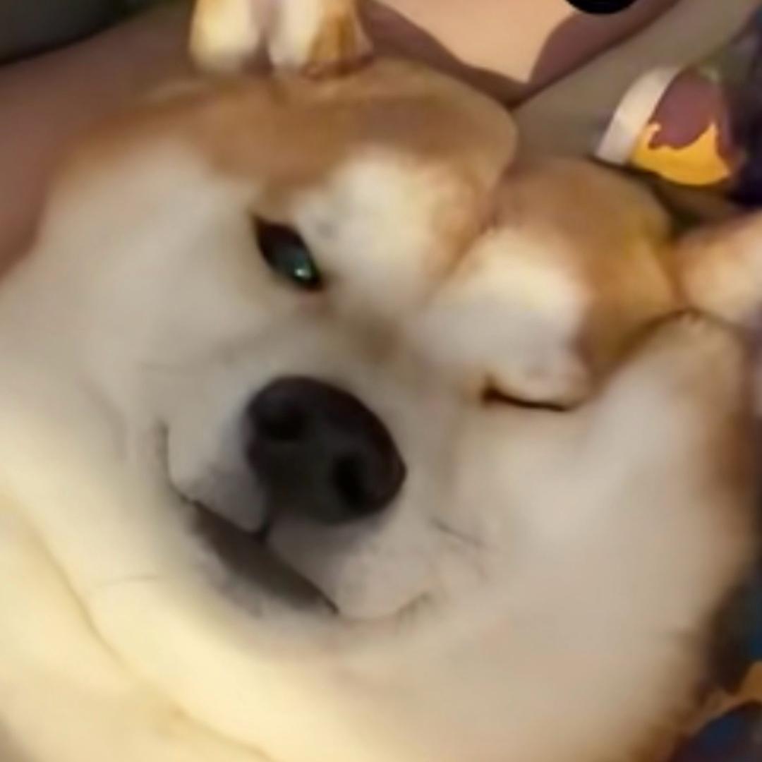 不知道你打电话