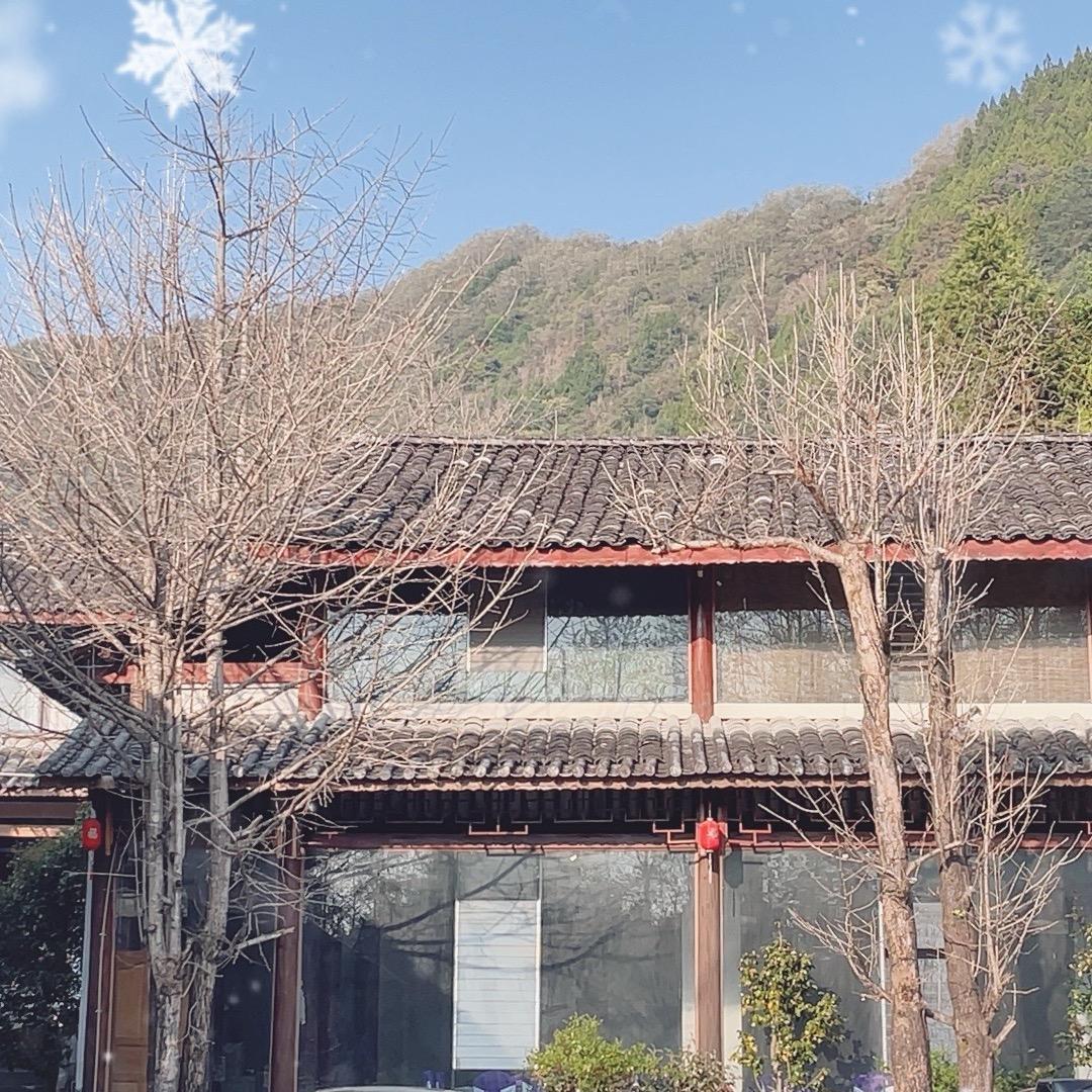 大垚的收山货日记