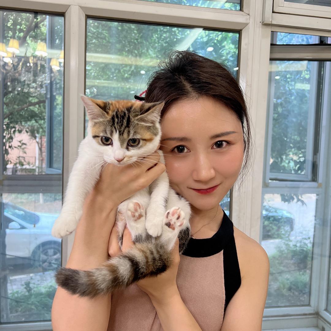 王铁锤（棋逢对手）