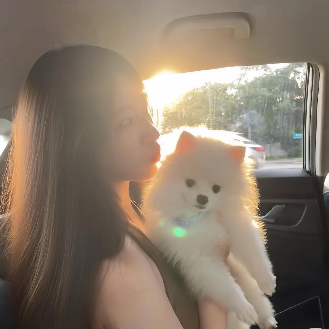 小薯日记