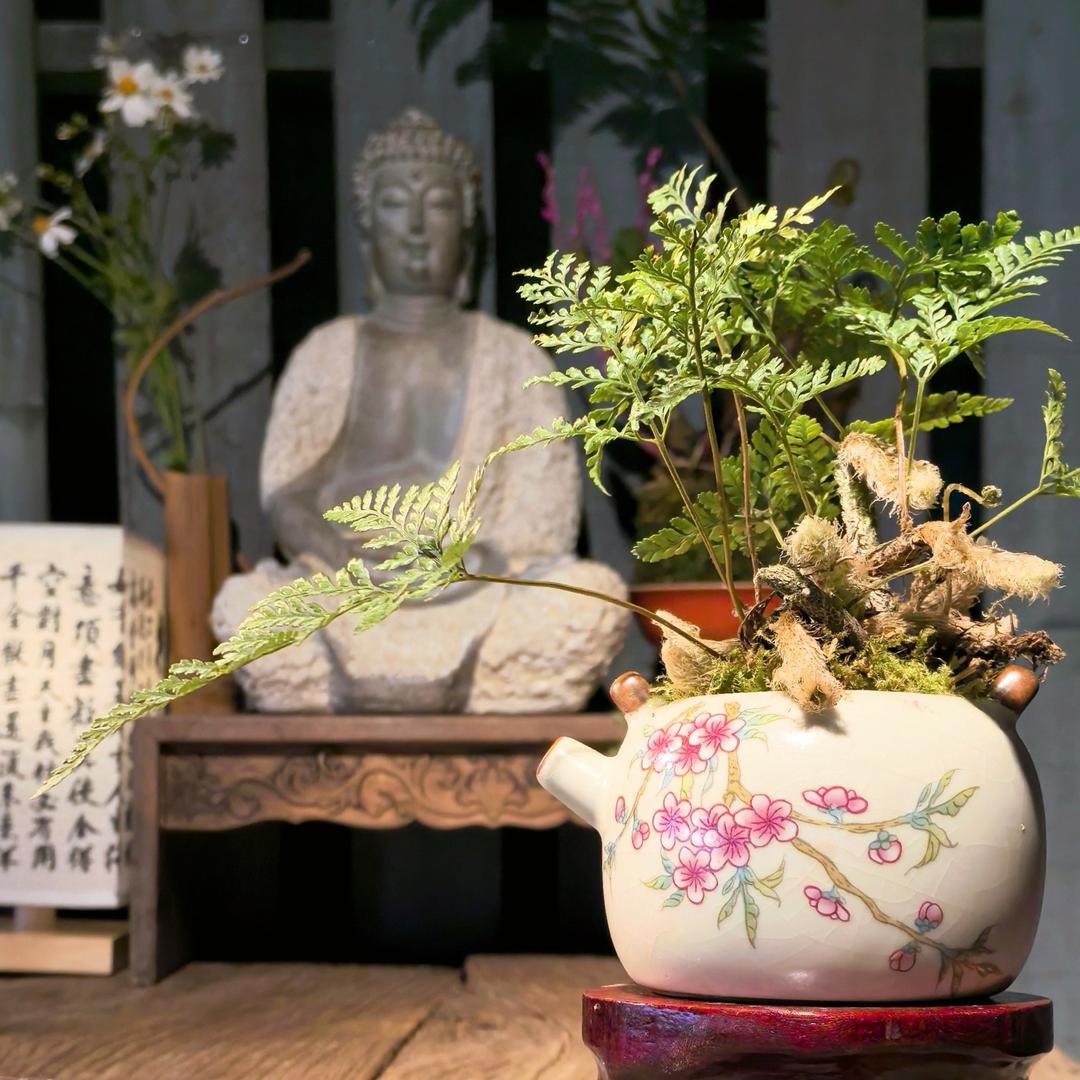 花间事盆景