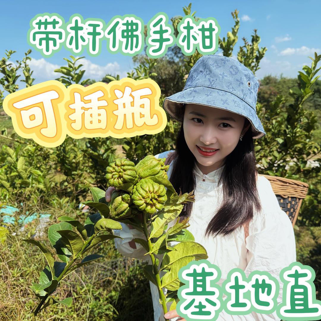 仓野家的植物宝宝