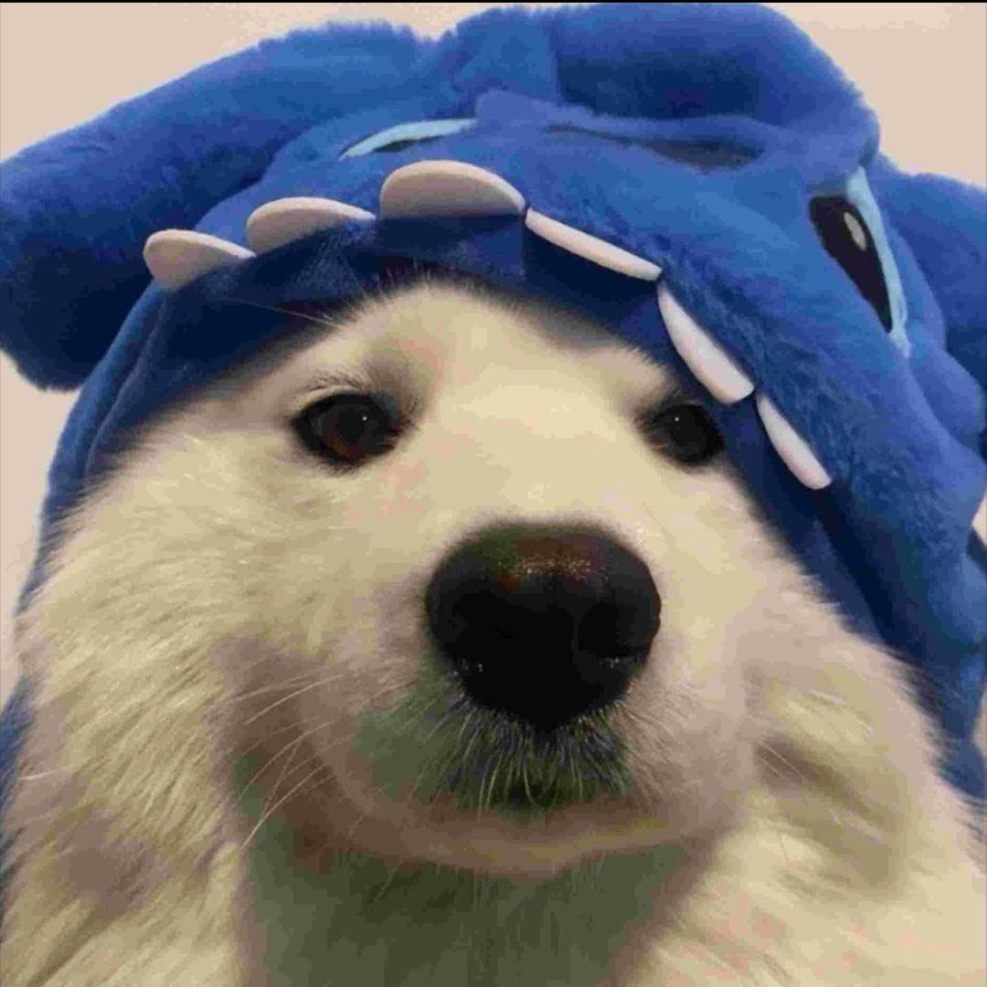 ¥总是怎么倒霉¥