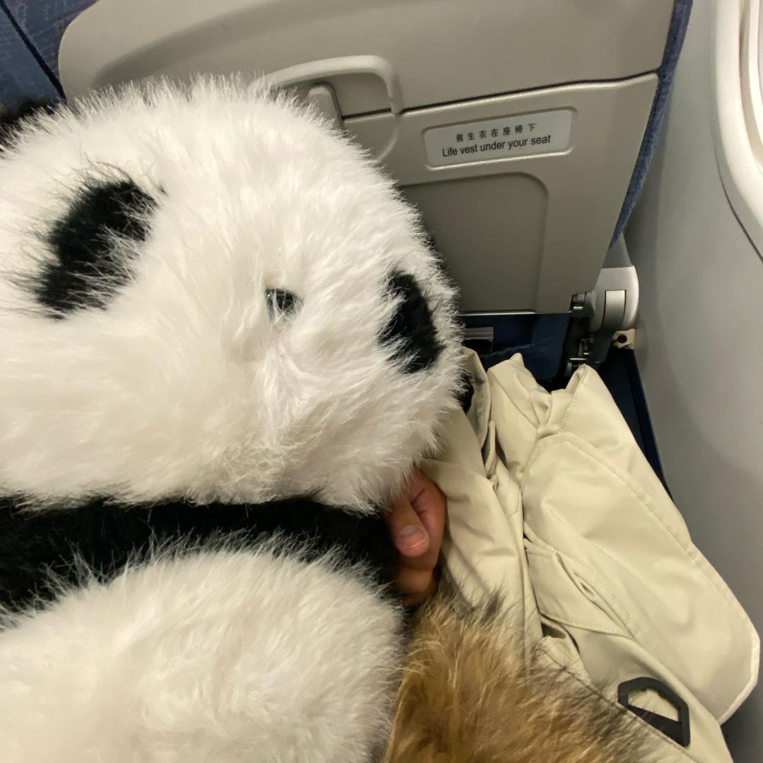 是一片叶子w