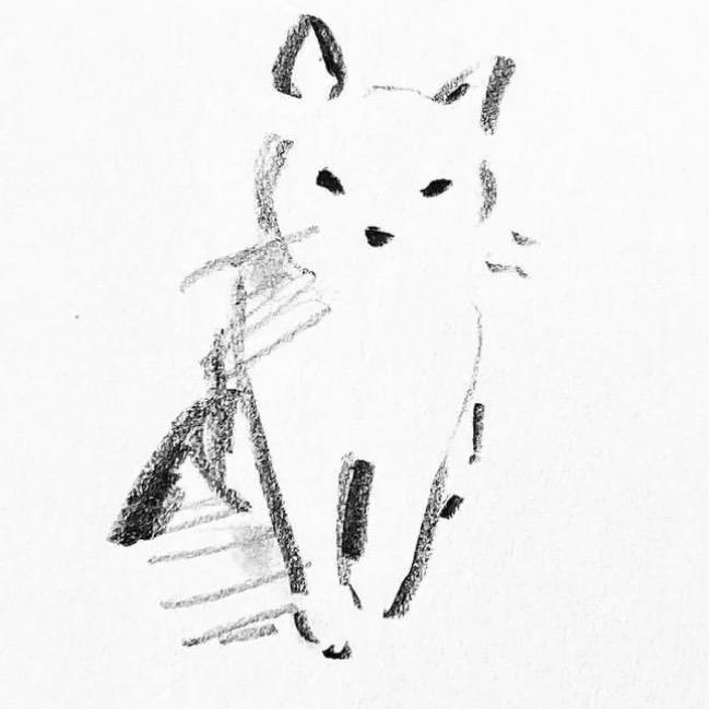 胃口喵