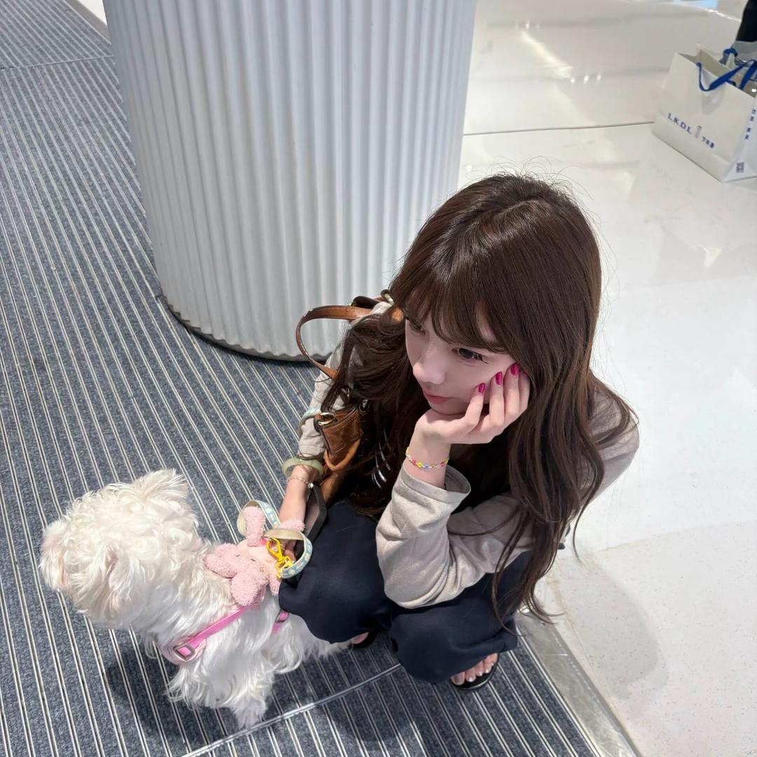 别碰我的齐刘海