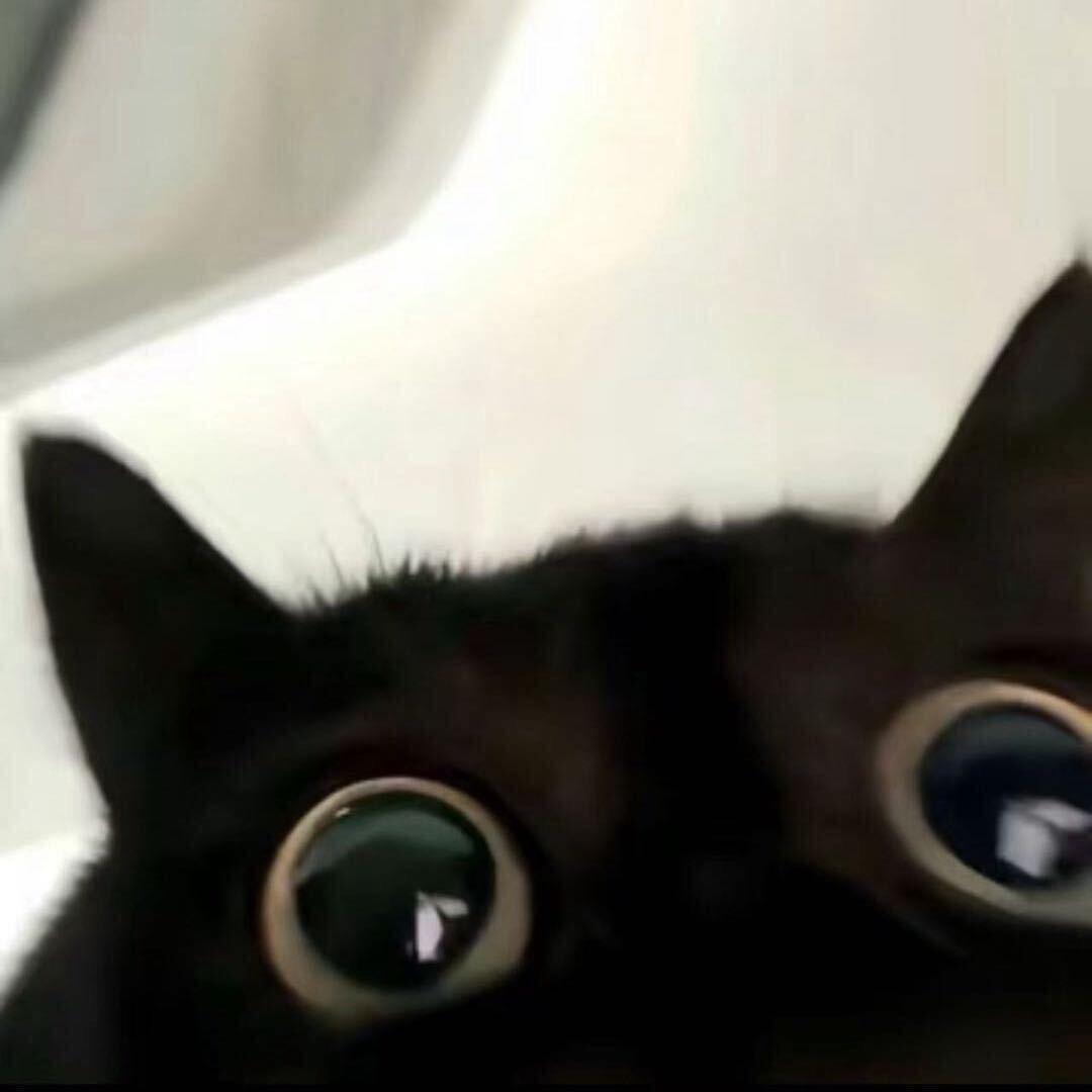 江白