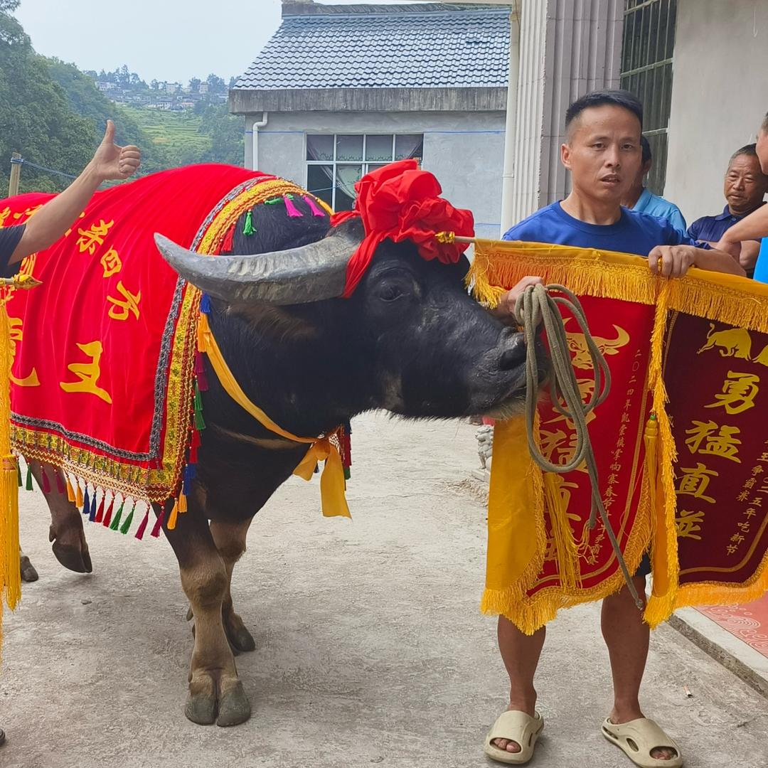 顾先深