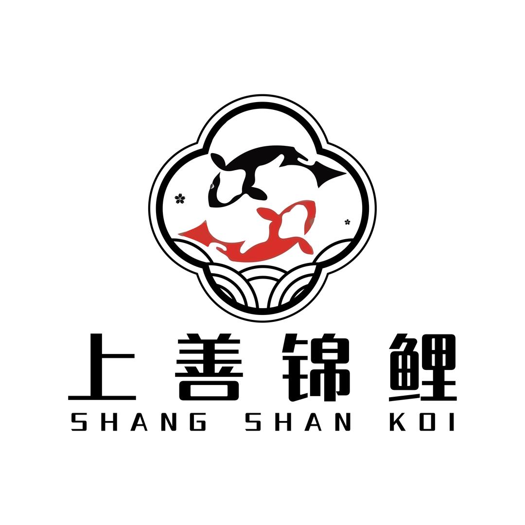上善锦鲤