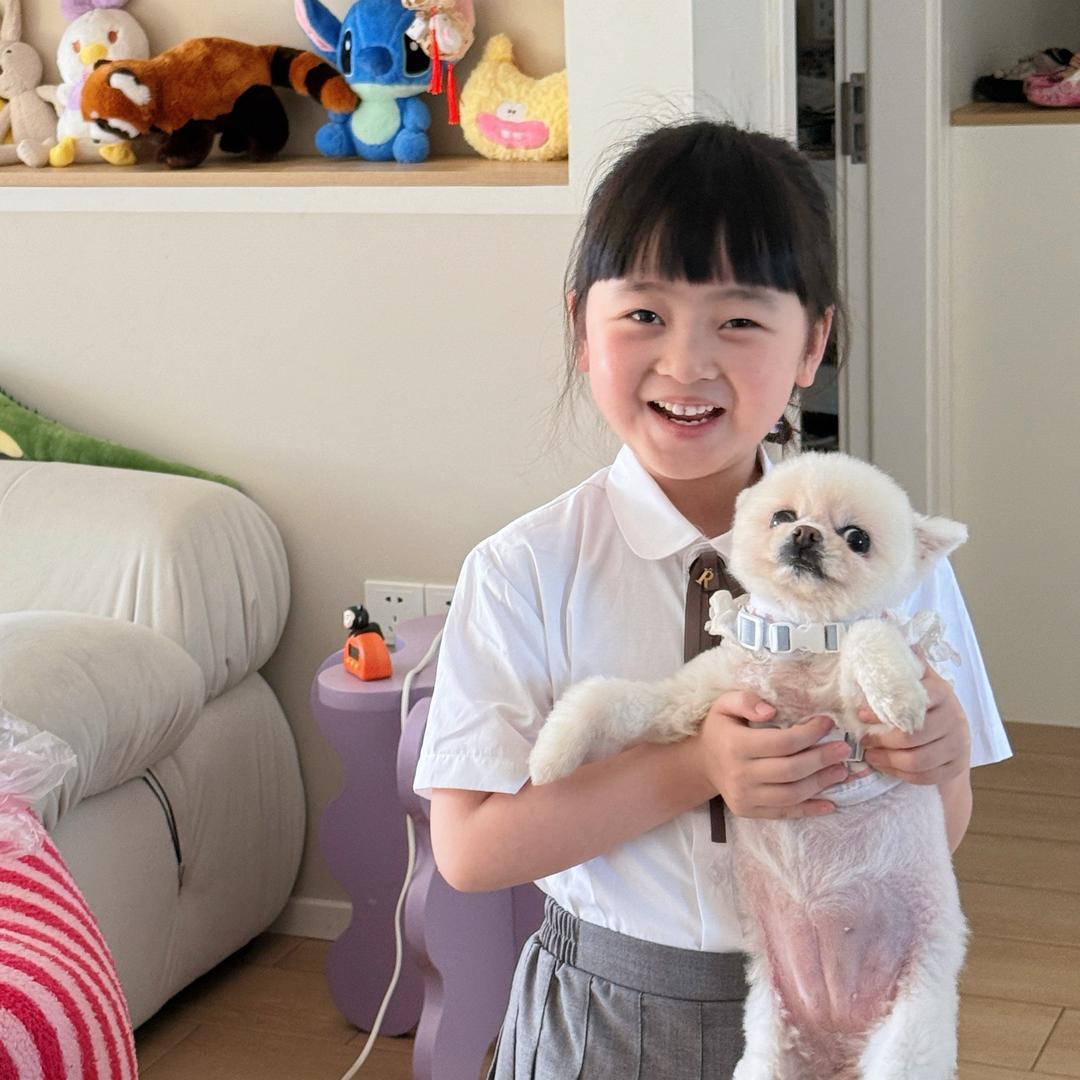 博美多米来啦