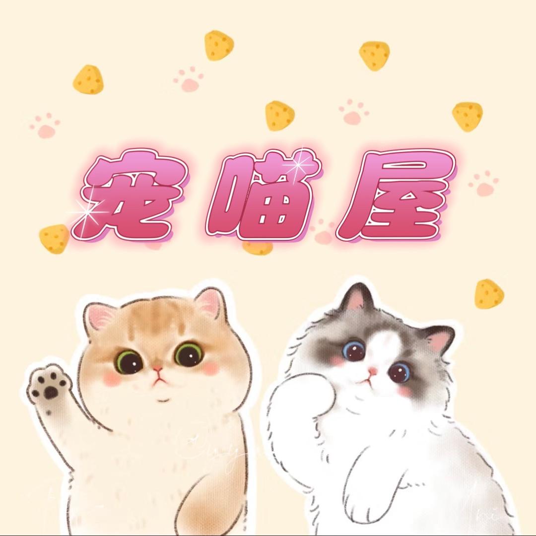 东东的宠喵日记