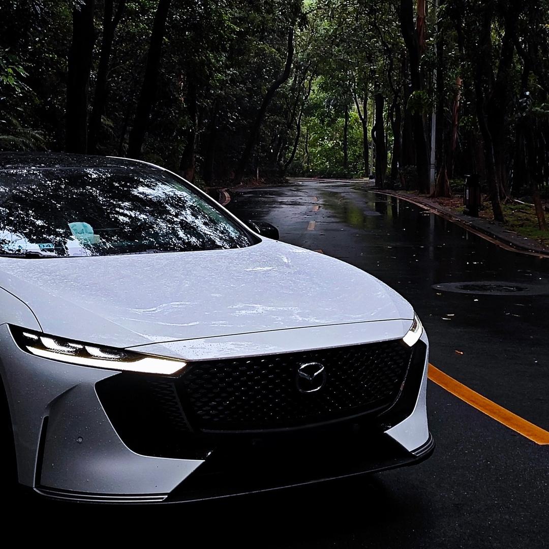 养了一匹马🐴zoom～