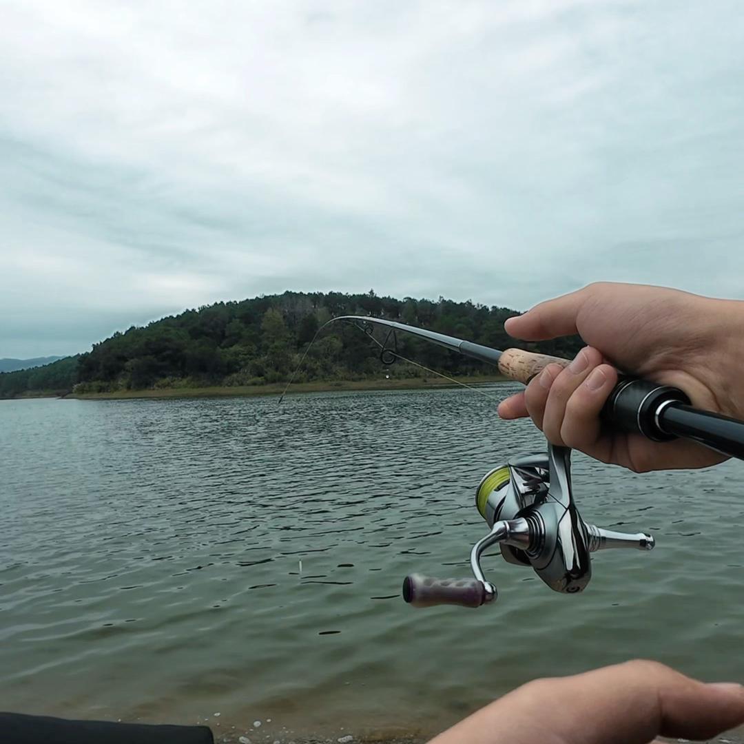 林师傅ᴸᵁᴿᴱ🎣