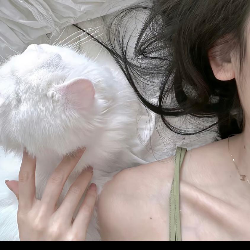 草莓芸☁️