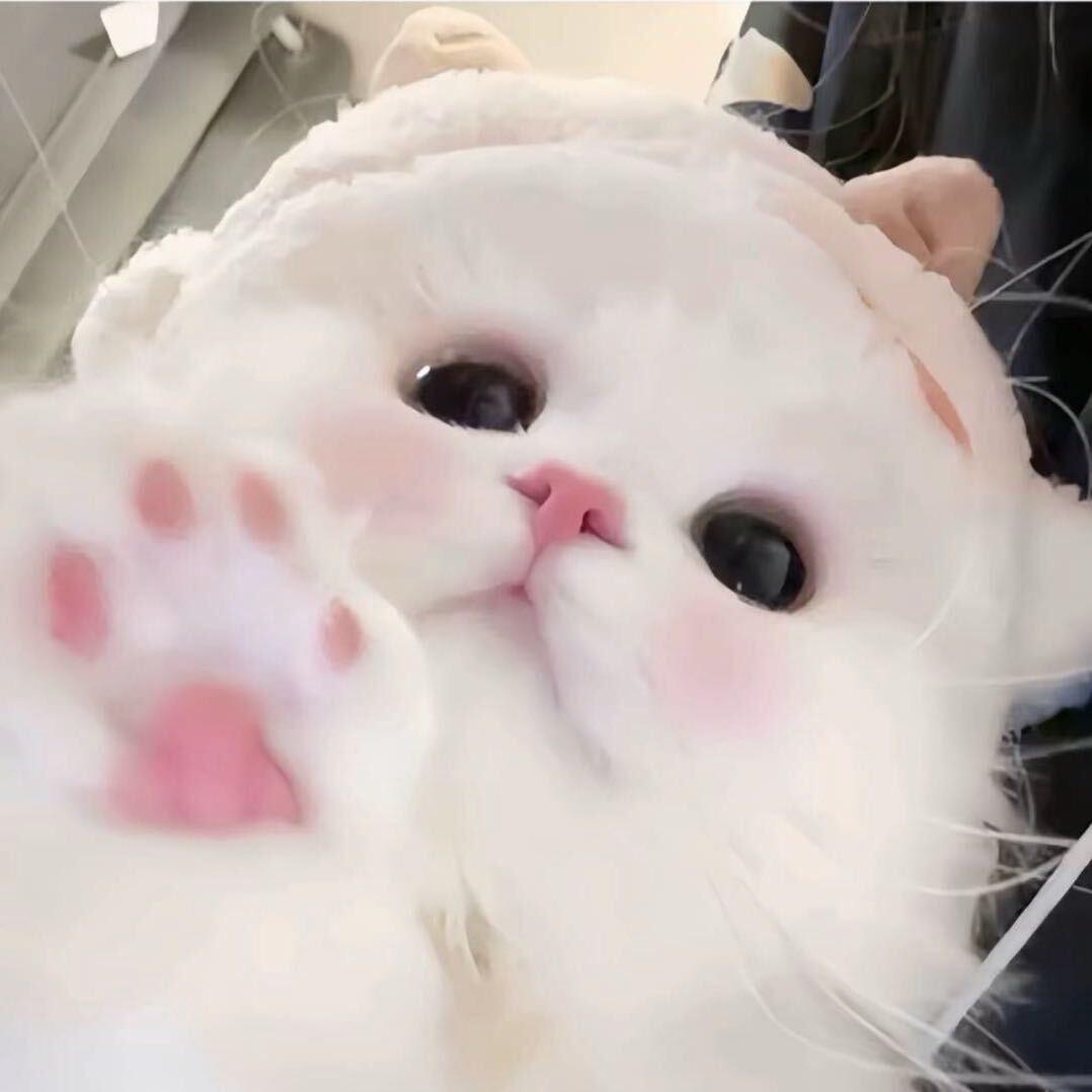 扣1送手册