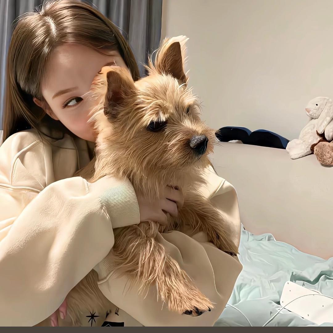 h 贝妮