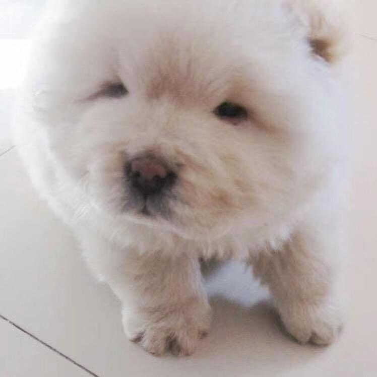 Bobby Liu
