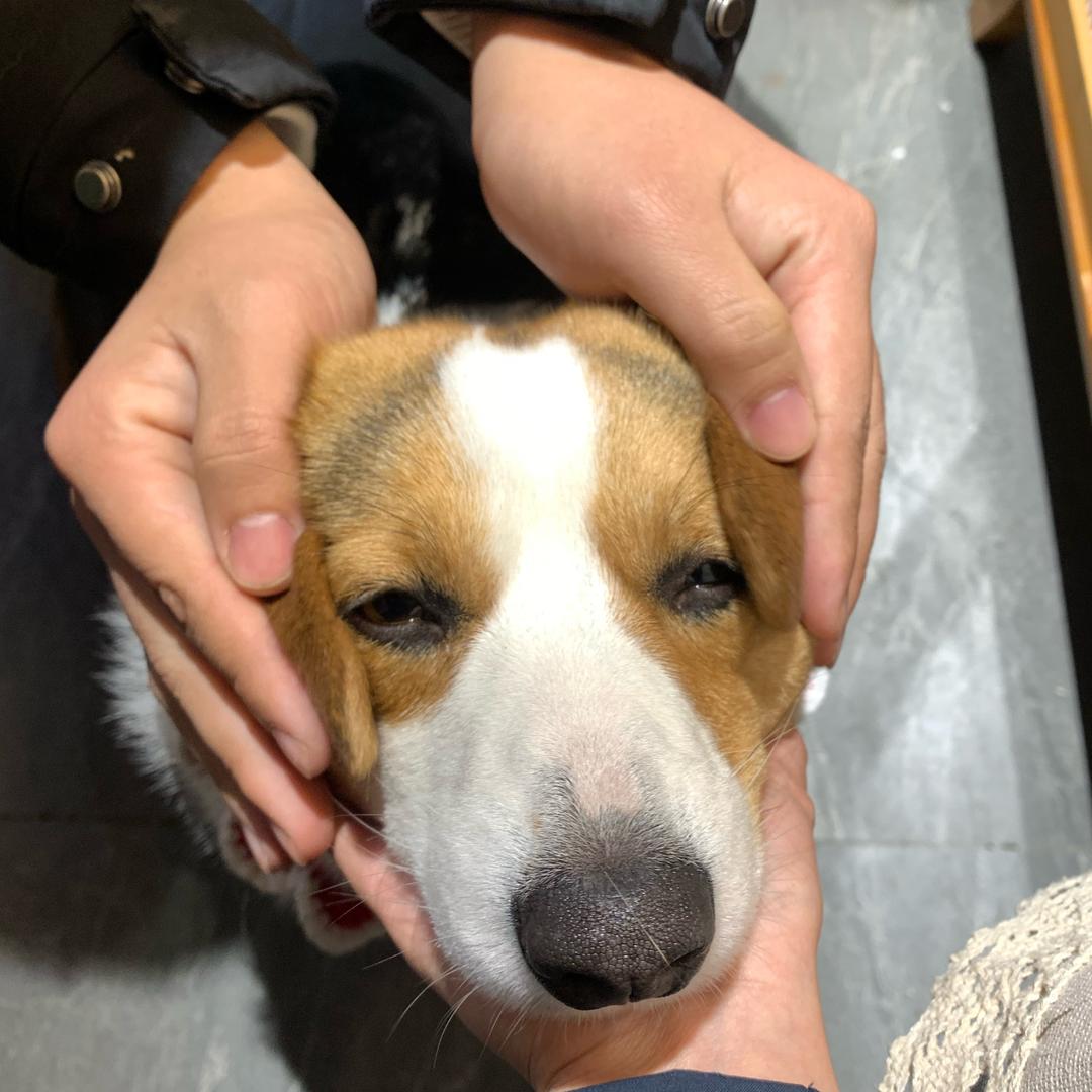 恩泽