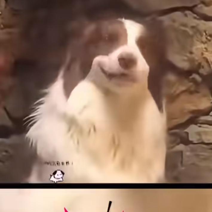 只爱自己的无情美艳坏人🎀🎁