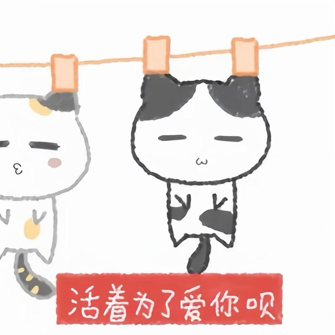 小茶叶yang