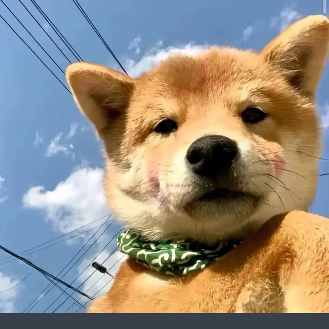Ｙ.