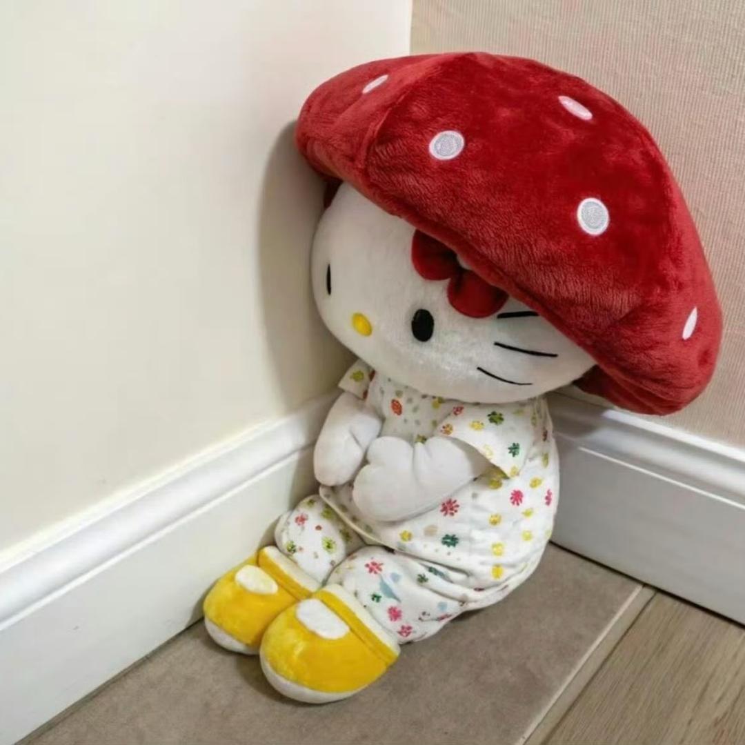 0芝士储存