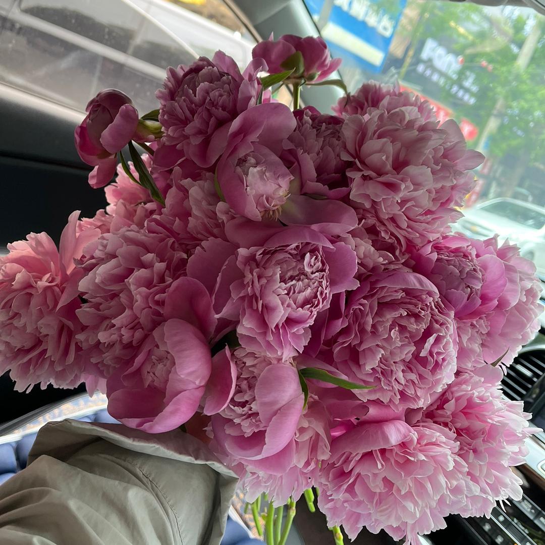 暴富的菜小花