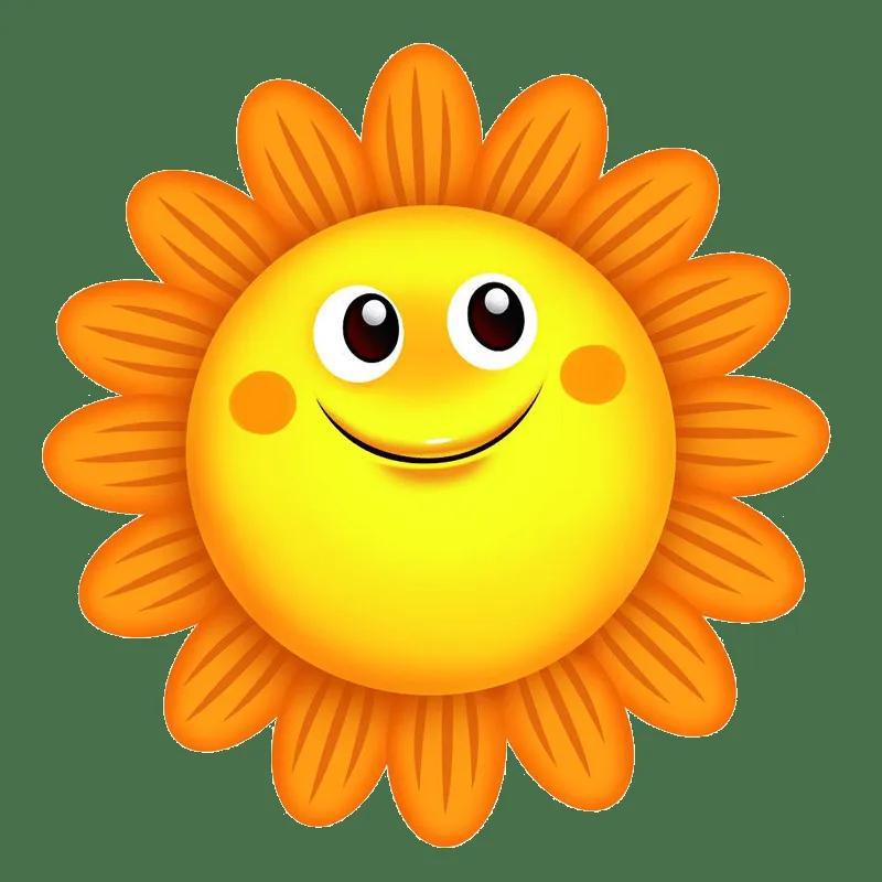 向日葵的微笑只属于太阳