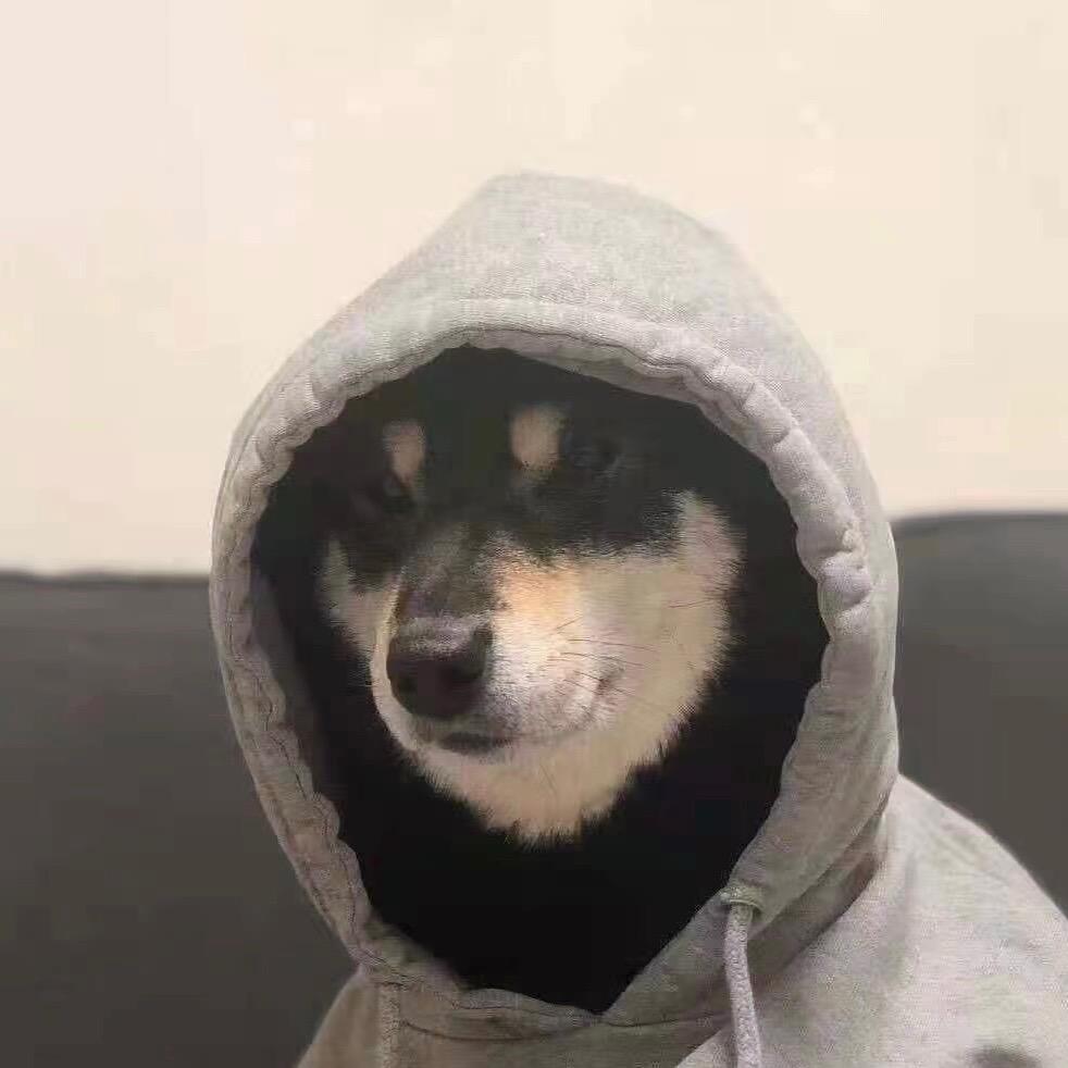 鱼🐟