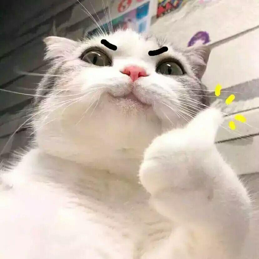 正在消化