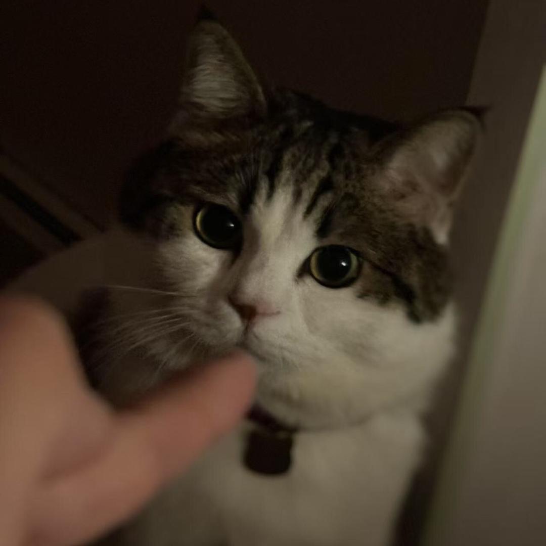 小倩！