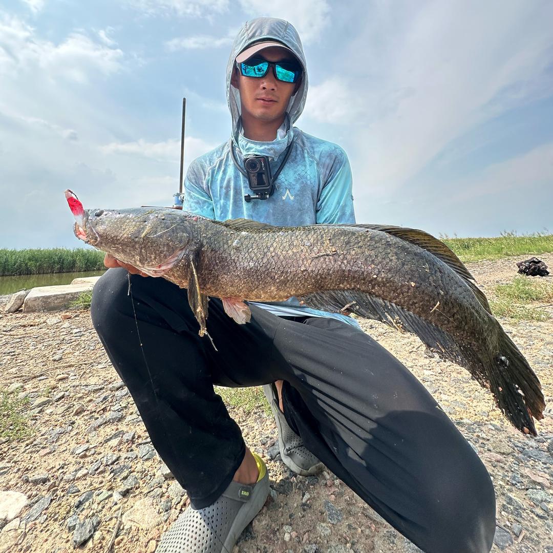 荒野雷沃🎣