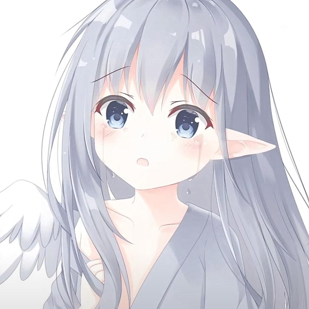 小猫霜