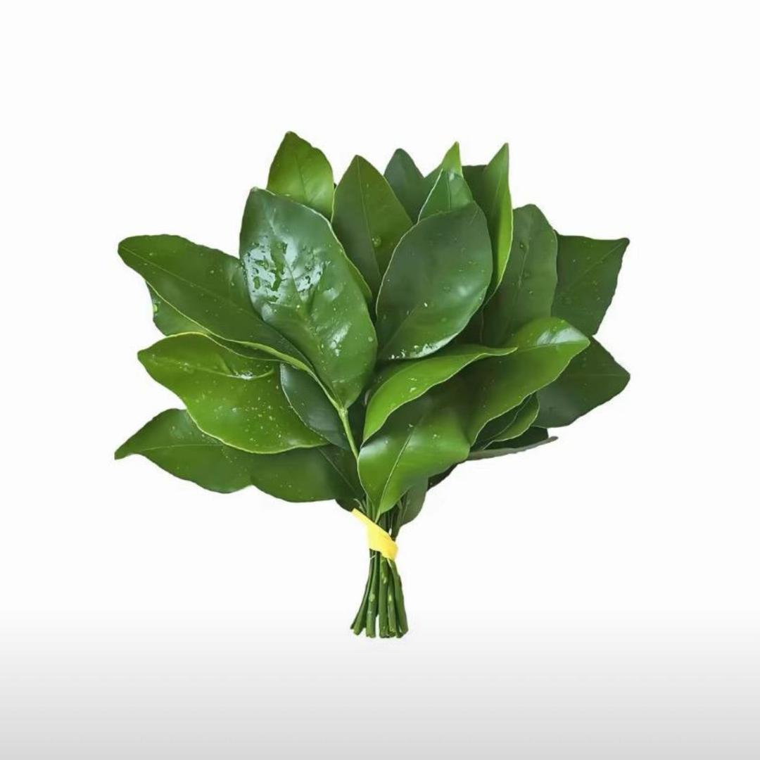 你总是骗我