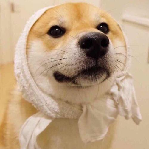 黄慌惶恍晃¹⁰⁸ 황성호