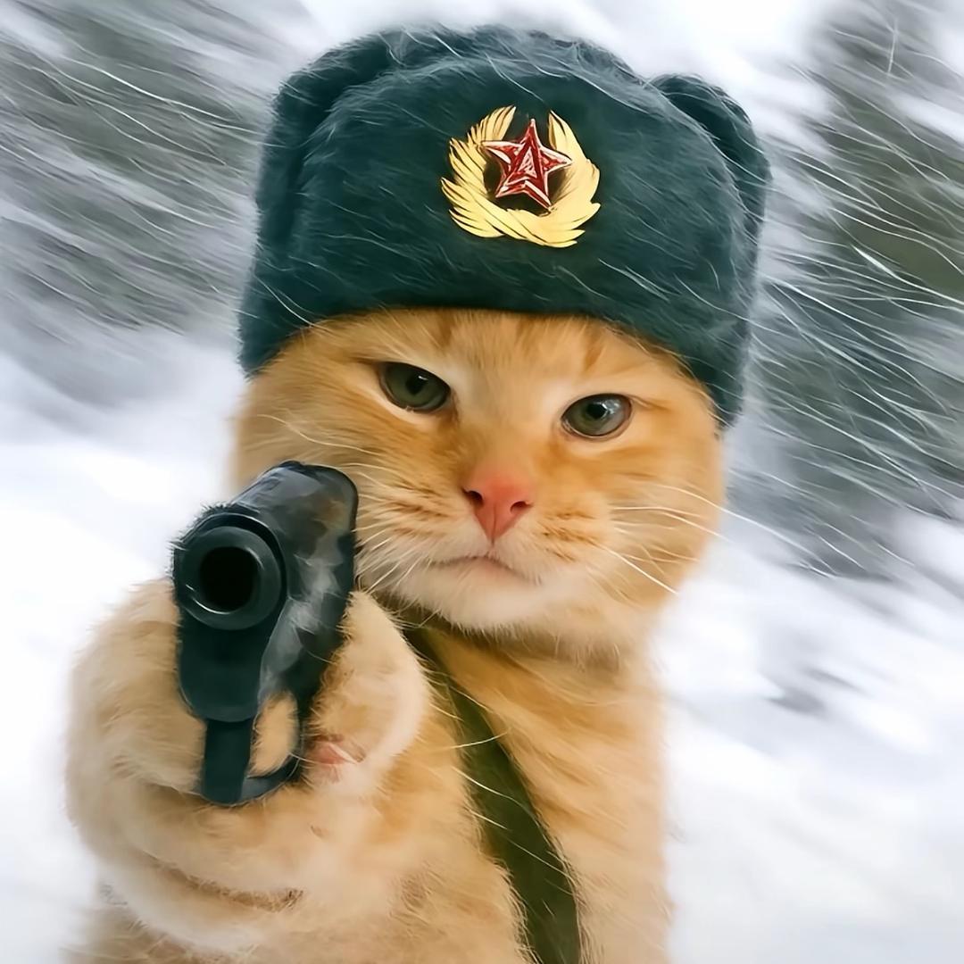 花不会谢