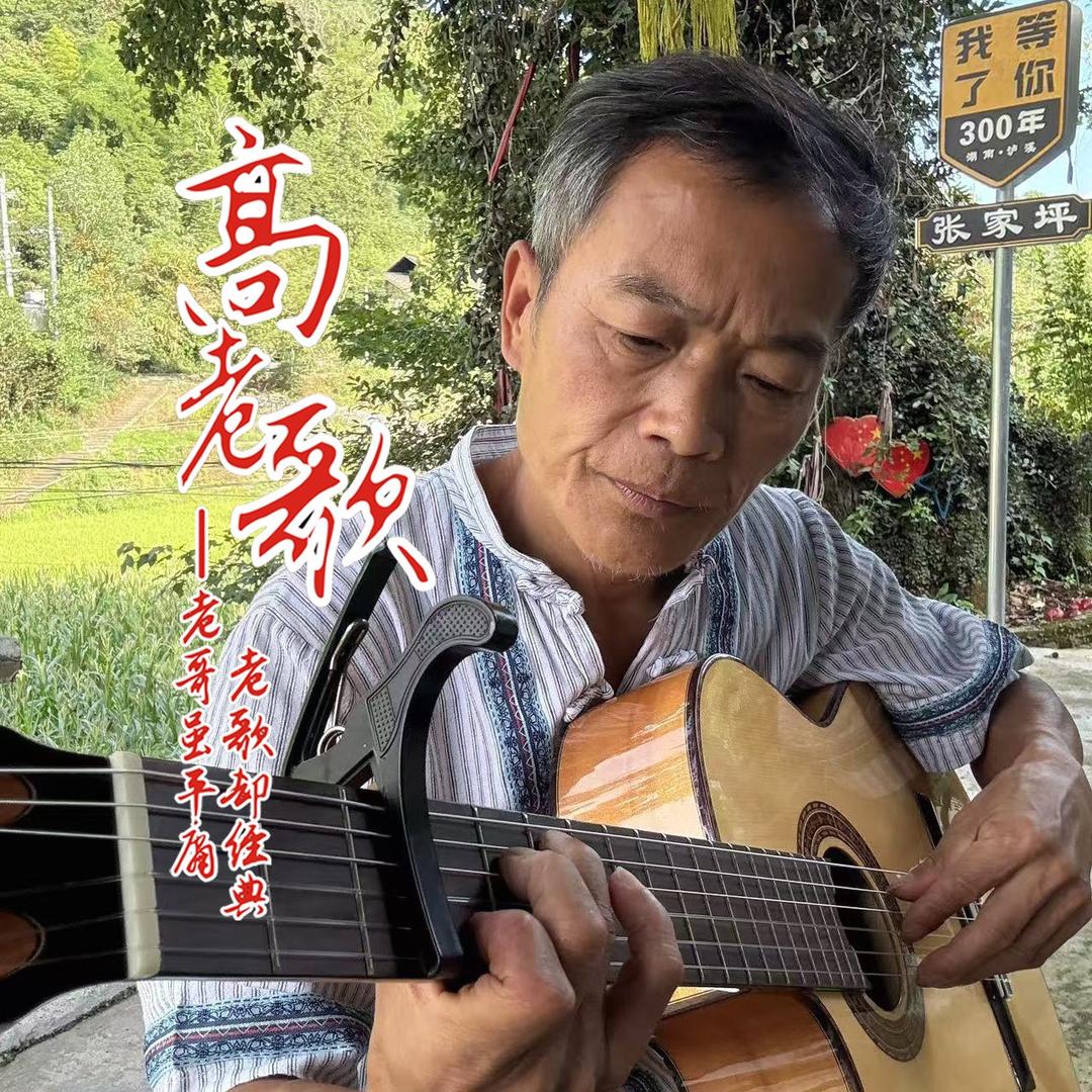 高老歌
