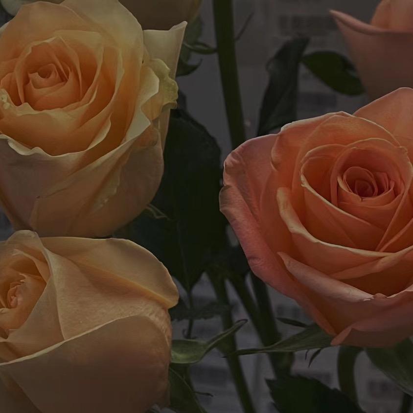 烟台开发区宏远花卉