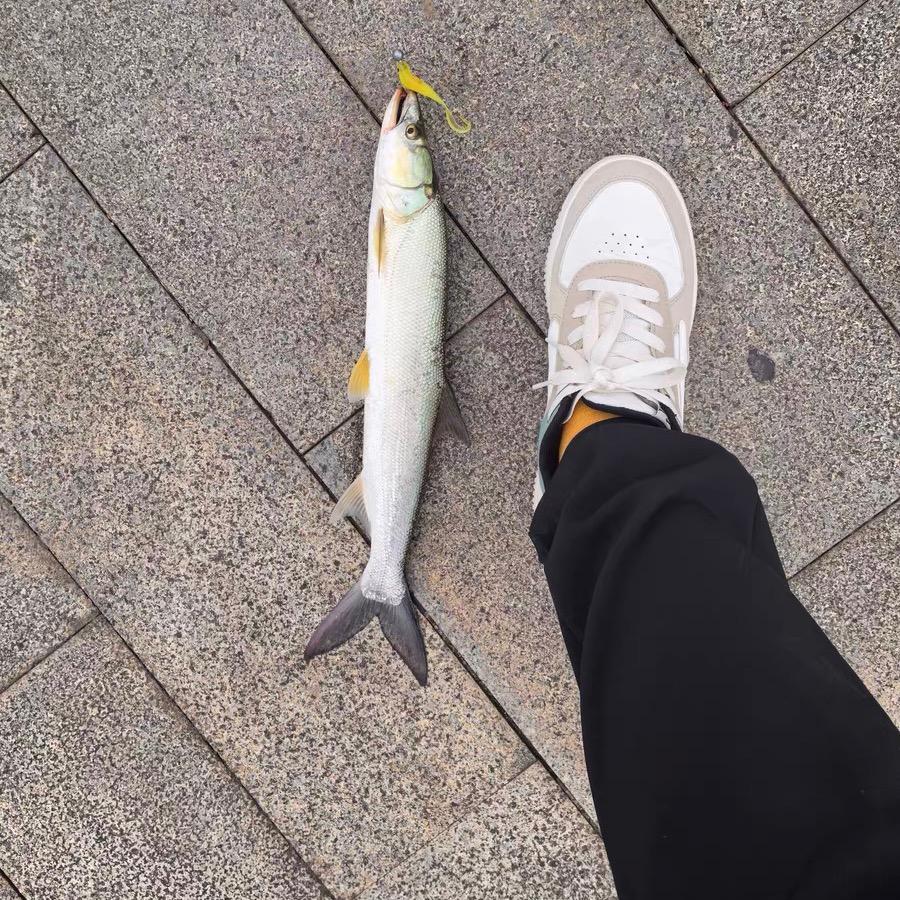 奥利给破龟互助会🎣