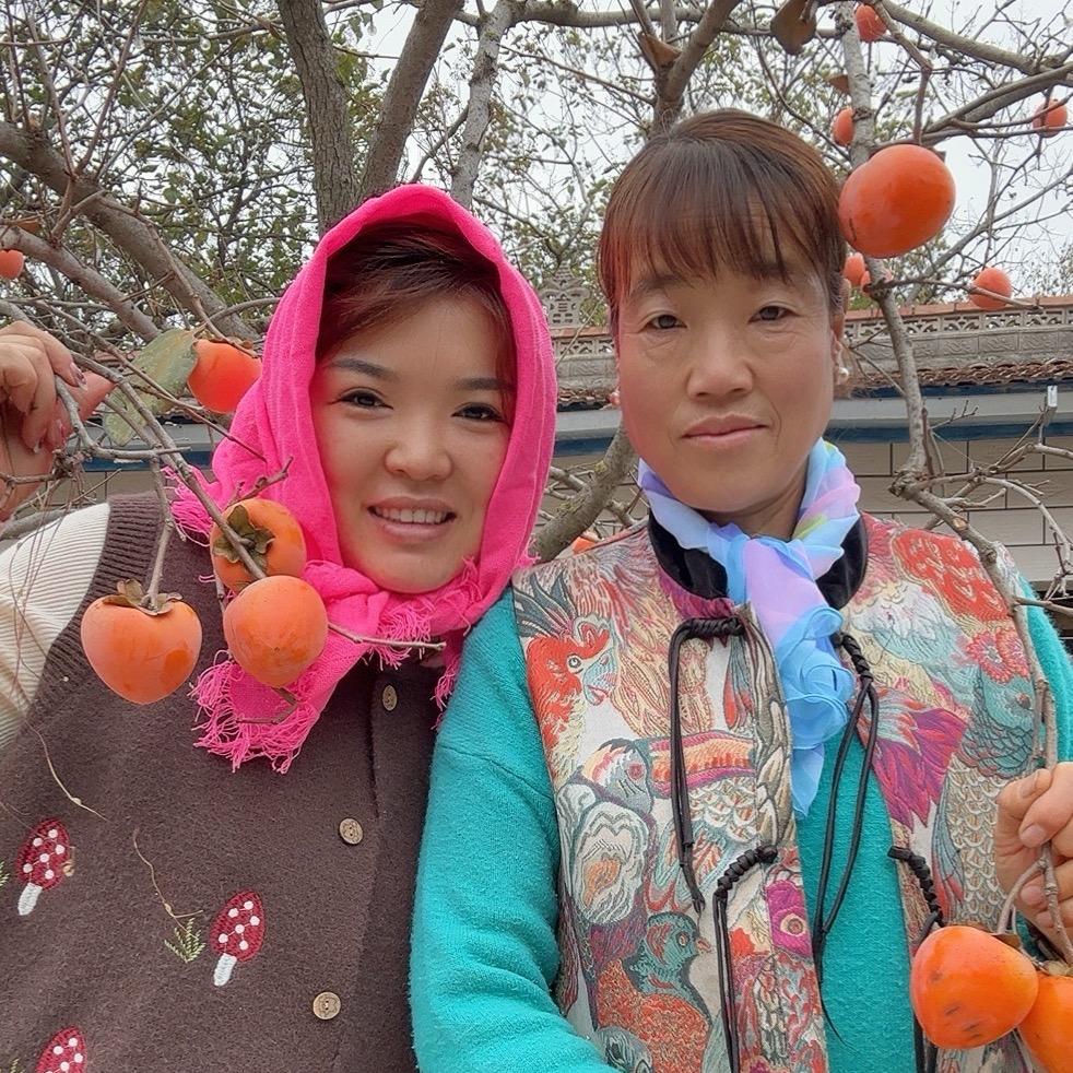 甘肃婷婷（离异）