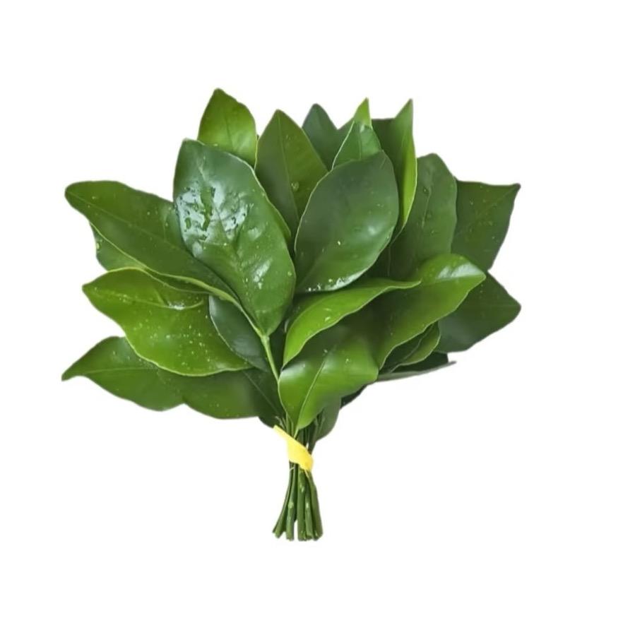 懒懒ᰔᩚ困不醒吃不饱