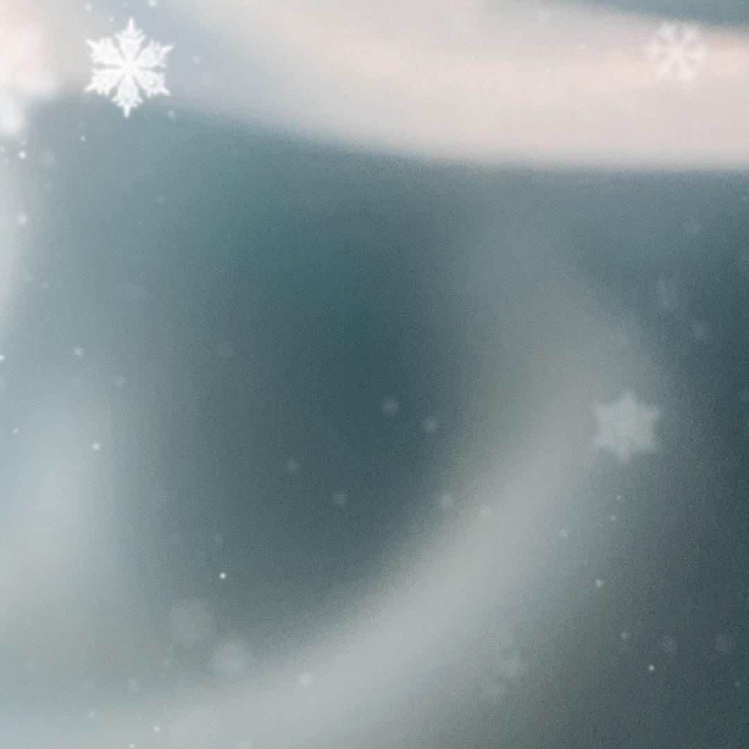 最可爱的人
