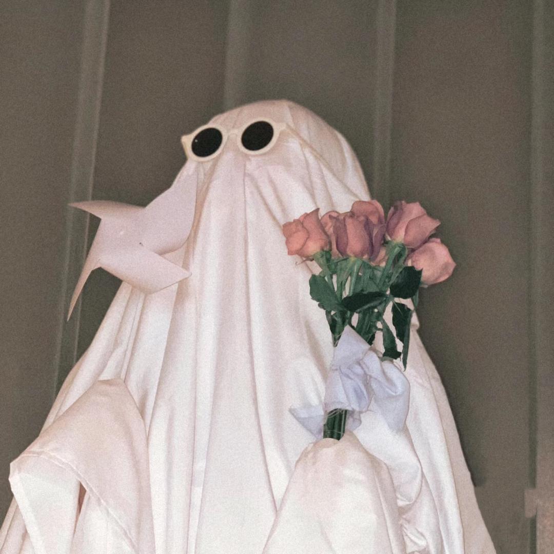 𝔄𝔭𝔯.Camellia_