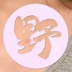 大野明星徒手美学