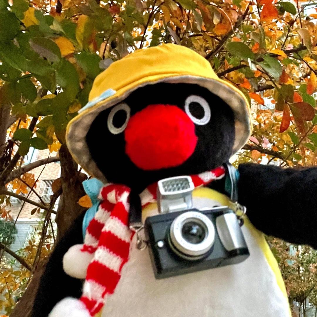 天津漂亮模特滴滴我！