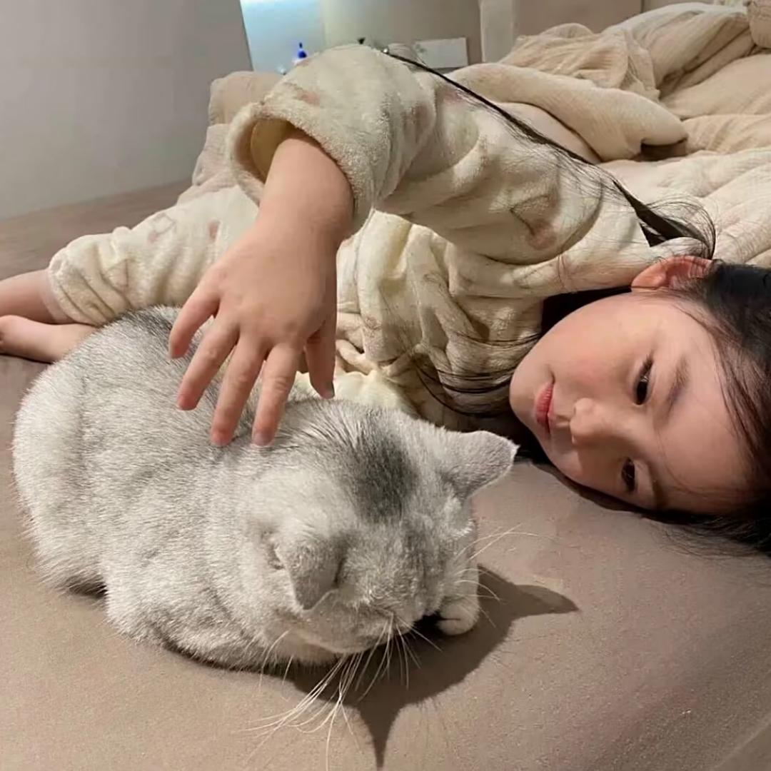莓柿儿
