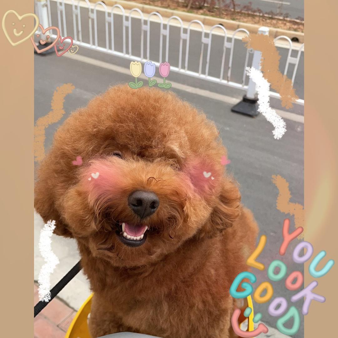 嘟嘟の微笑