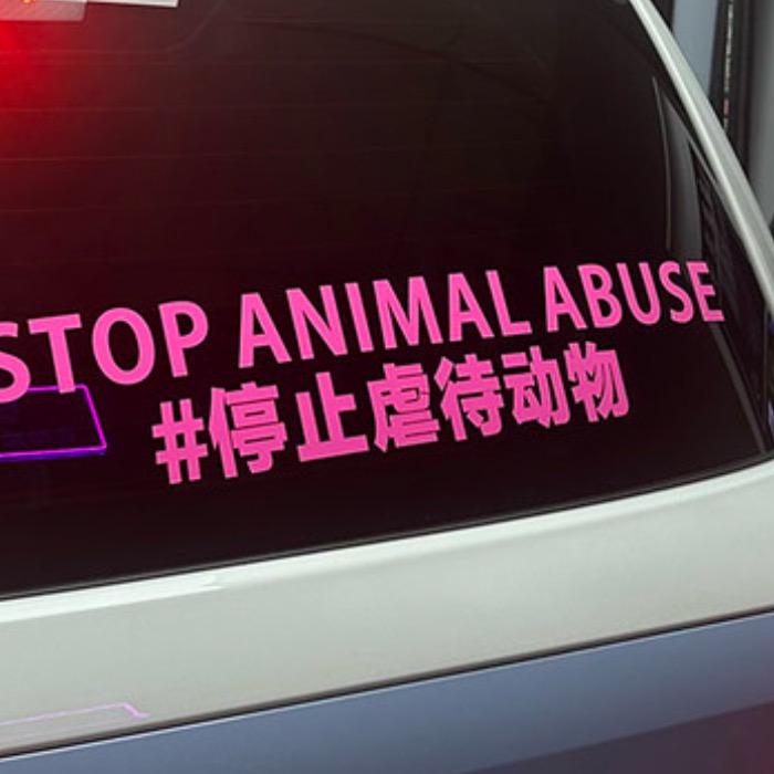 🐱呀